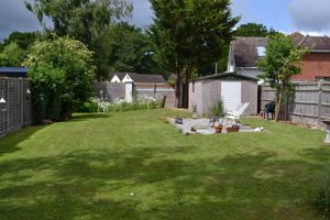 June 25 rear garden- click for photo gallery